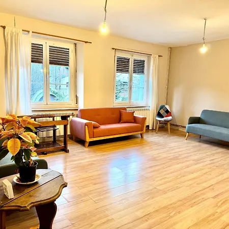 Pajaro L Castejón de Sos